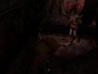 Cкриншот Silent Hill: Origins, изображение № 509244 - RAWG