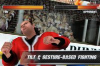 Cкриншот Hockey Nations 2011 Pro, изображение № 53392 - RAWG