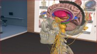 Cкриншот 3D Organon VR Anatomy, изображение № 133206 - RAWG