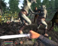 Cкриншот The Elder Scrolls IV: Oblivion, изображение № 699364 - RAWG