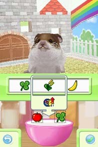 Cкриншот Petz Hamsterz Superstarz, изображение № 789899 - RAWG
