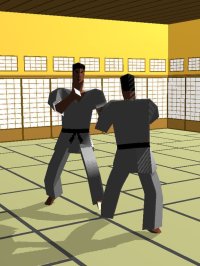 Cкриншот touch Karate (Universal), изображение № 1808602 - RAWG