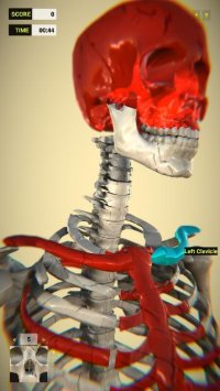 Cкриншот Bones (Vicarious), изображение № 1861269 - RAWG