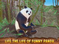 Cкриншот Panda Bear Simulator 3D, изображение № 1700772 - RAWG