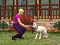 Cкриншот Sims 2: Питомцы, The, изображение № 457882 - RAWG