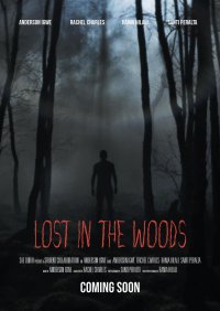 Cкриншот Lost In The Woods (lightmercii), изображение № 2254197 - RAWG