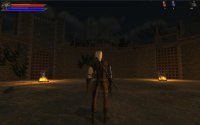 Cкриншот Witcher Arena Demo, изображение № 1251516 - RAWG