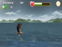 Cкриншот Eagle Fish Hunting, изображение № 1840183 - RAWG