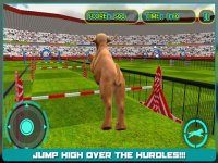 Cкриншот Dog Show Simulator 3D: Train puppies & perform amazing stunts, изображение № 917986 - RAWG