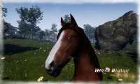 Cкриншот Horse Riding Deluxe, изображение № 716053 - RAWG