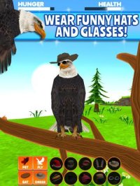 Cкриншот Virtual Pet Eagle, изображение № 1968134 - RAWG