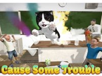 Cкриншот Cat Simulator: Kittens 2019, изображение № 1889295 - RAWG