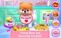 Cкриншот Boo - The World's Cutest Dog, изображение № 1540017 - RAWG