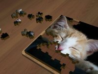 Cкриншот Super Jigsaws Kittens, изображение № 1955013 - RAWG