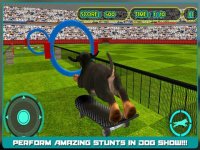 Cкриншот Dog Show Simulator 3D: Train puppies & perform amazing stunts, изображение № 917988 - RAWG