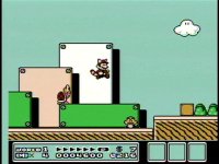 Cкриншот Super Mario Bros. 3, изображение № 248066 - RAWG