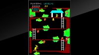 Cкриншот Arcade Archives Kangaroo, изображение № 2450732 - RAWG