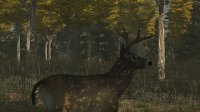 Cкриншот Deer Simulator, изображение № 332 - RAWG