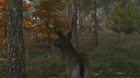 Cкриншот Deer Simulator, изображение № 331 - RAWG