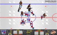 Cкриншот NHL Hockey '95, изображение № 297000 - RAWG