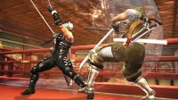 Cкриншот Ninja Gaiden II, изображение № 514307 - RAWG