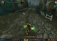 Cкриншот World of Warcraft, изображение № 352115 - RAWG