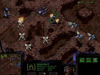 Cкриншот StarCraft, изображение № 331822 - RAWG