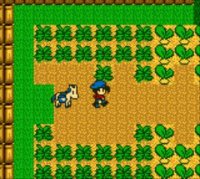 Cкриншот Harvest Moon, изображение № 806519 - RAWG