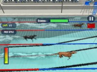 Cкриншот Dog Swimming Race, изображение № 1780105 - RAWG