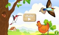 Cкриншот Birds Game for Toddlers Puzzle, изображение № 1589280 - RAWG