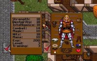 Cкриншот Ultima VII: The Black Gate, изображение № 763178 - RAWG