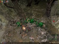 Cкриншот Dungeon Siege: Легенды Аранны, изображение № 370013 - RAWG