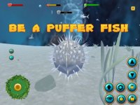 Cкриншот Puffer Fish Simulator 3D, изображение № 1625028 - RAWG