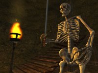 Cкриншот The Elder Scrolls III: Morrowind, изображение № 289988 - RAWG