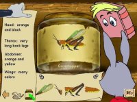 Cкриншот Reader Rabbit - 2nd Grade, изображение № 791619 - RAWG