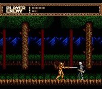 Cкриншот Sword Master (1990), изображение № 738092 - RAWG