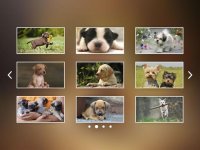 Cкриншот Puppies Jigsaw Puzzles Free Pet Games for Kids, изображение № 1492930 - RAWG