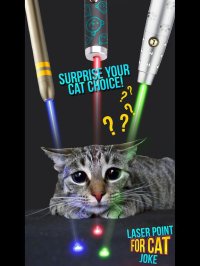 Cкриншот Laser Point For Cat Joke, изображение № 902788 - RAWG
