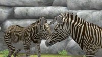 Cкриншот My Zoo, изображение № 789919 - RAWG