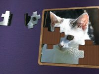 Cкриншот Super Jigsaws Kittens, изображение № 1955011 - RAWG