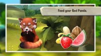 Cкриншот My Red Panda - Your lovely pet simulation, изображение № 1520379 - RAWG