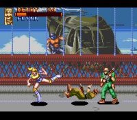 Cкриншот Brawl Brothers (1992), изображение № 761327 - RAWG