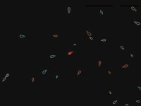 Cкриншот My Pond, изображение № 1796004 - RAWG