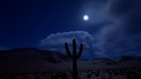 Cкриншот Cactus Simulator 2, изображение № 3572747 - RAWG