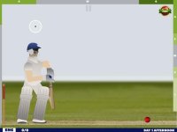 Cкриншот Touch Cricket, изображение № 2454049 - RAWG