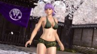 Cкриншот Dead or Alive 5, изображение № 585062 - RAWG