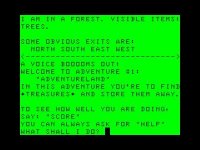 Cкриншот Adventureland (1978), изображение № 753538 - RAWG