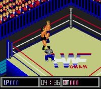 Cкриншот Thunder Pro Wrestling Retsuden, изображение № 760650 - RAWG
