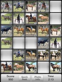 Cкриншот Horses Match Memory Game: Pair Up Horse Photos, изображение № 982041 - RAWG