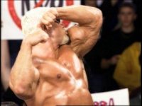 Cкриншот WCW Backstage Assault, изображение № 741429 - RAWG